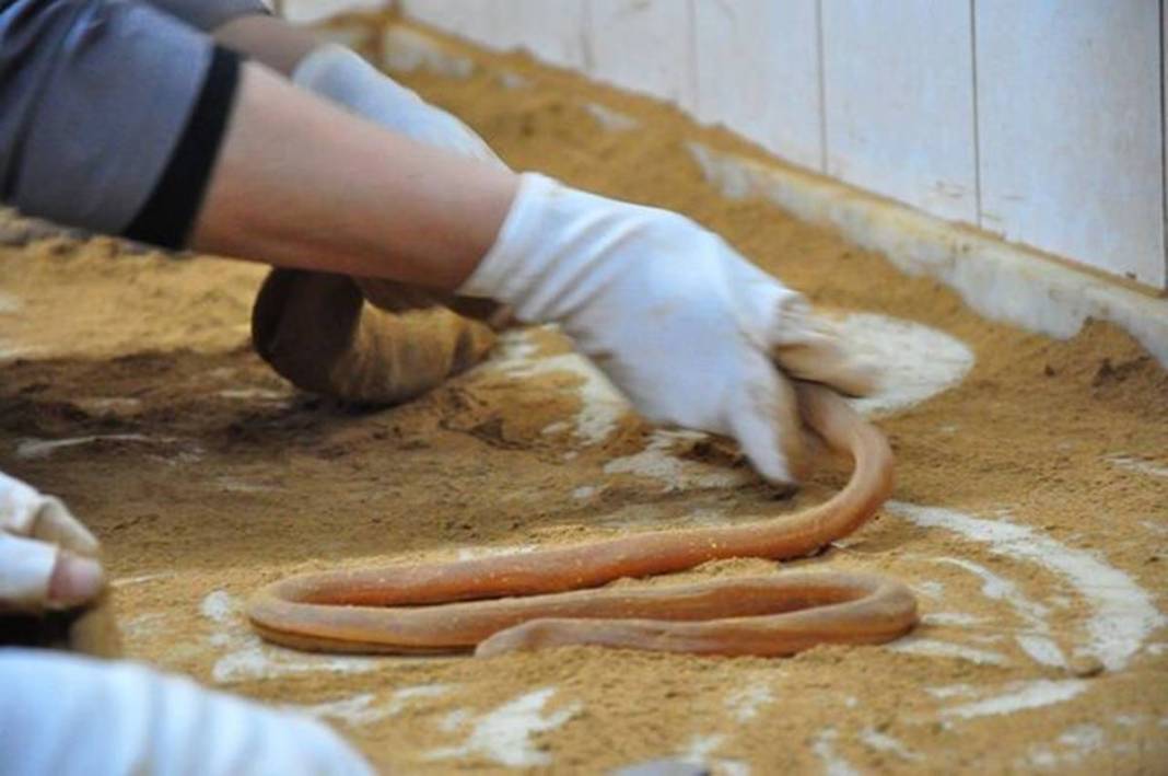 Tonlarcası ücretsiz dağıtılacak: Sadece 15 kişi hazırlıyor! Geleneksel yöntemler kullanılıyor 5